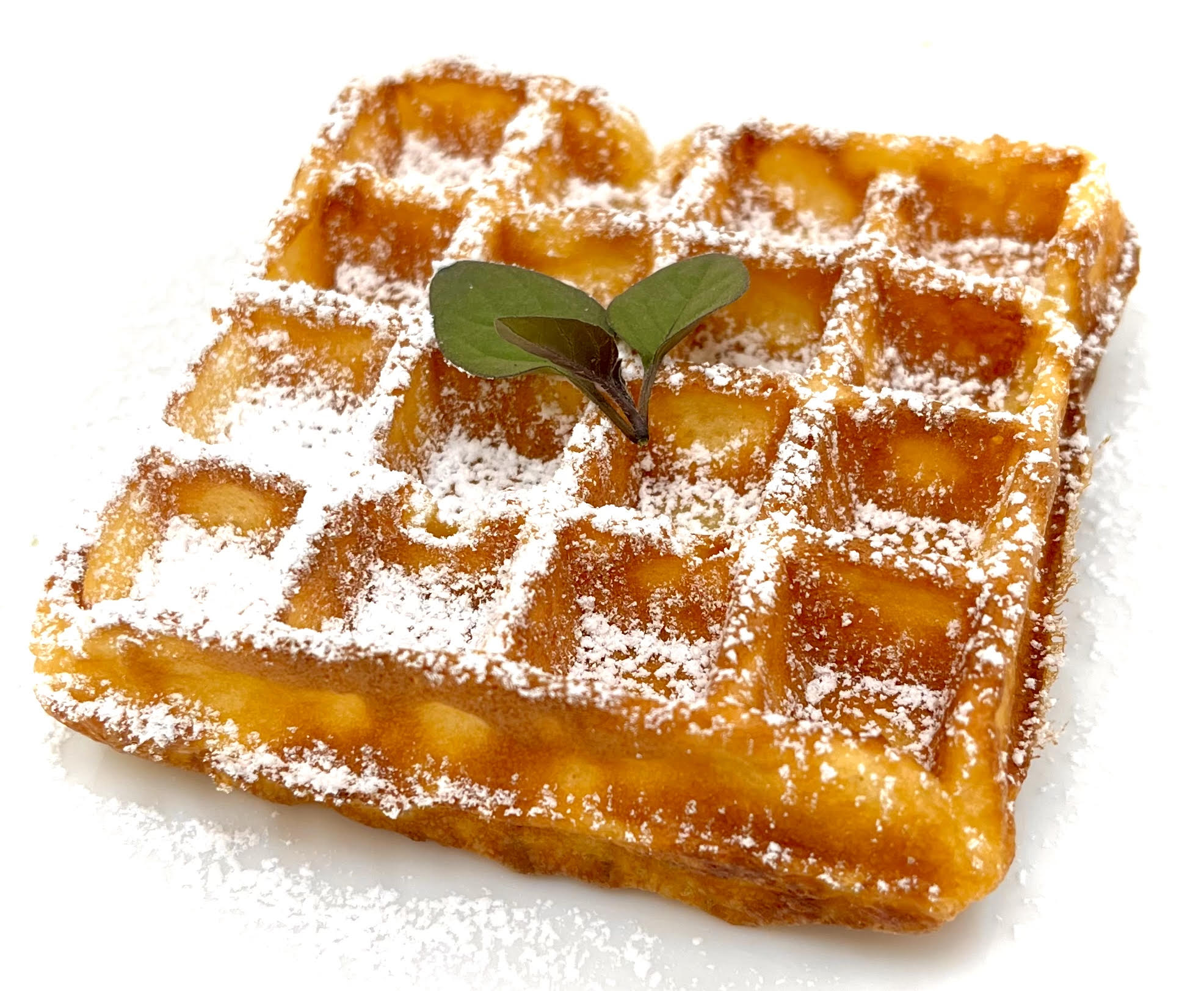 株式会社サンテックコーポレーション | 新商品情報